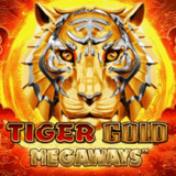 Tiger Gold