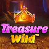 Treasure Wild