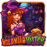 Wild Wild Witch